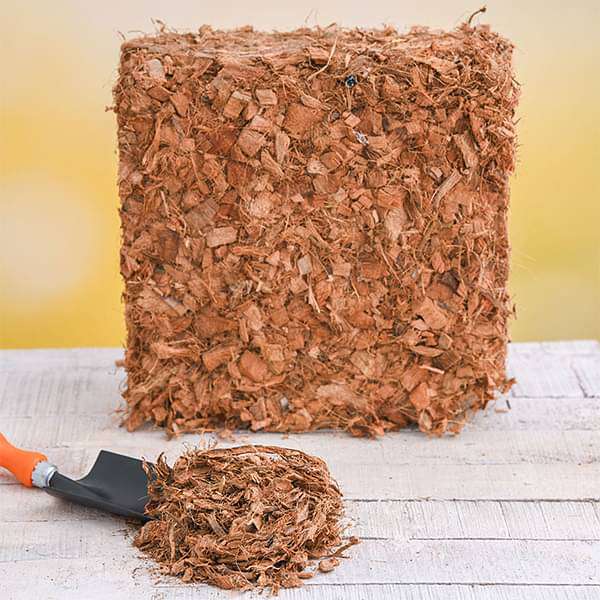 coco husk block